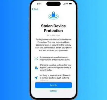 中堂镇苹果授权维修店分享被盗设备保护功能开启方法 