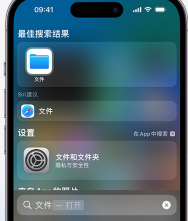 中堂镇apple维修中心分享iPhone文件应用中存储和找到下载文件 