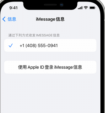 中堂镇apple维修iPhone上无法正常发送iMessage信息