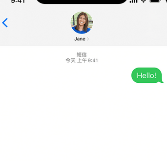 中堂镇apple维修iPhone上无法正常发送iMessage信息