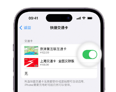 中堂镇apple维修点分享iPhone上更换Apple Pay快捷交通卡手绘卡面 