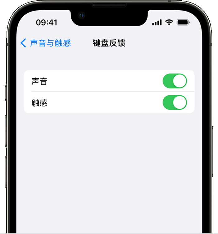 中堂镇苹果14维修店分享如何在 iPhone 14 机型中使用触感键盘 