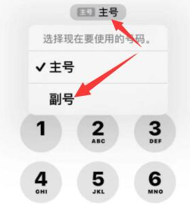 中堂镇苹果14维修店分享iPhone 14 Pro Max使用副卡打电话的方法 