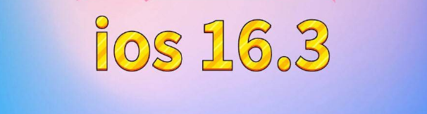 中堂镇苹果服务网点分享苹果iOS16.3升级反馈汇总 