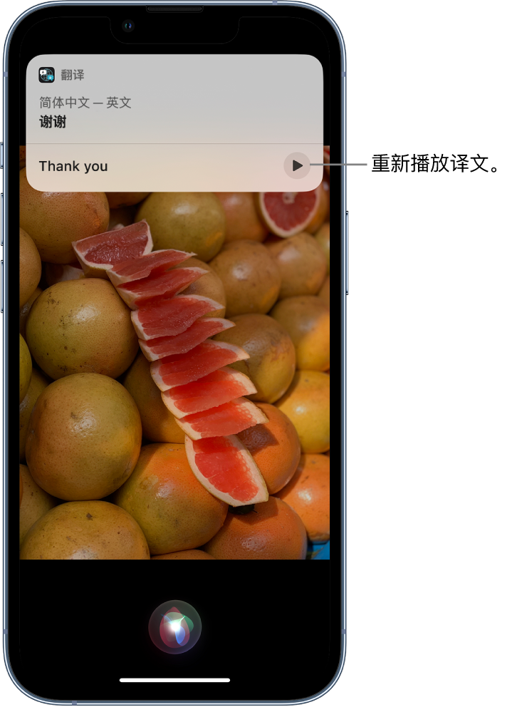 中堂镇苹果14维修分享 iPhone 14 机型中使用 Siri：了解 Siri 能帮你做什么 