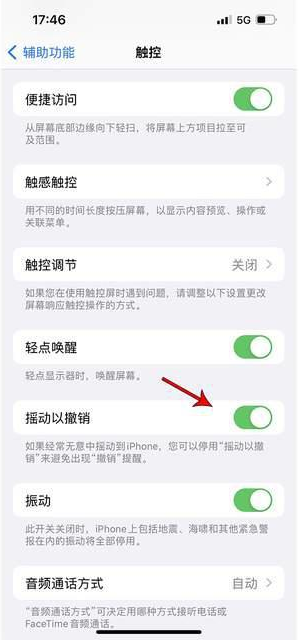 中堂镇苹果手机维修分享iPhone手机如何设置摇一摇删除文字 